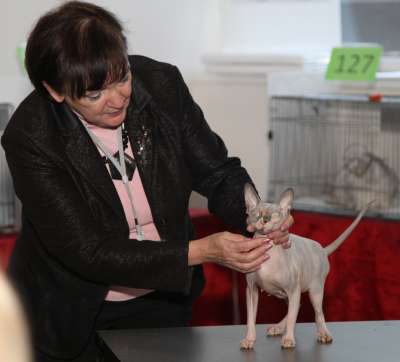 �������� ����� '������� ���-�����' 30 ������-1 ������� 2013., WCF-����� 2583